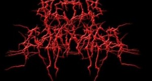 Fetus Carnage : Slam Death / Grind from Kathmandu Nepal