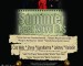 Summer Fest 2070