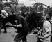 And We Came at Summer Fest (Videos)