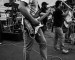 Cobweb at Summer Fest (Videos)